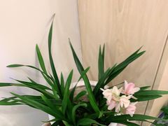 -麦悠悠·SPA·推拿(太阳山路店)