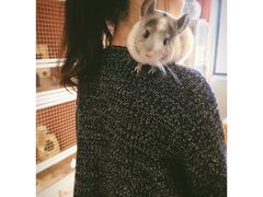 -藦茜花园宠物主题亲子互动体验馆(国顺东路店)