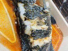珍珠斑-盒马鲜生(金桥国际广场店)