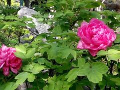 -狼山风景名胜区