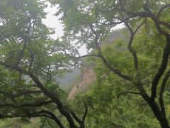 -北京鹫峰国家森林公园