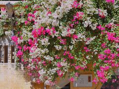 -广州市紫泥堂文化创意园景区