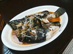 清蒸活龙胆鱼-同君福大酒楼(紫新路店)