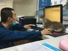 -康乐宝动物医院