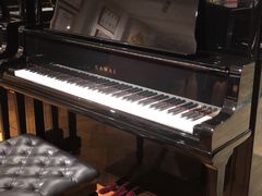 -柏斯琴行(汾阳店)