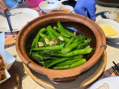-点都德·毕德寮
