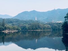 -梧桐山风景名胜区