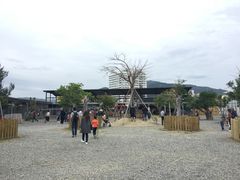 -鹿境梅花鹿生态园区