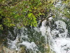 -叠溪松坪沟景区