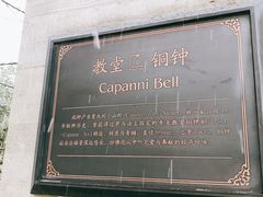 -美丽洲堂