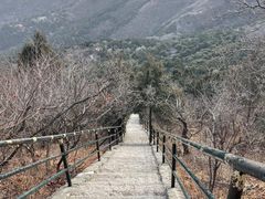 -香山公园