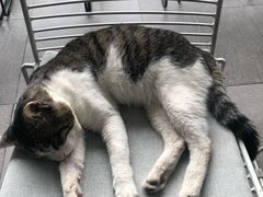 -UNI UNI(环亚凯瑟琳店)