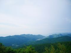 -武陵山森林公园