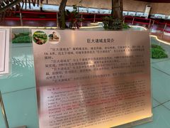 -诸城市恐龙博物馆