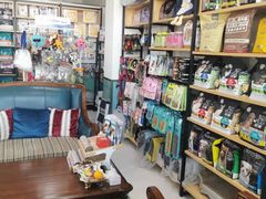 -欧奕国际动物医院