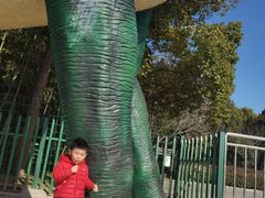 -中国西峡恐龙遗迹园
