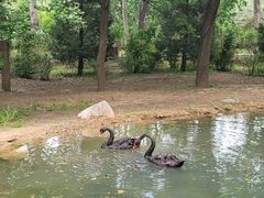 -北京麋鹿生态实验中心