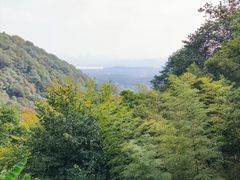 -韬光茶庵