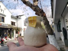 芒果酸奶酪-狐狸家·酸奶酪专门店(平江路店)
