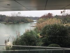 -中国湿地博物馆