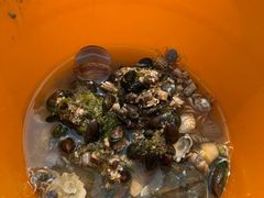 -北海金海湾红树林生态旅游区