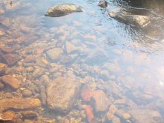 -福清灵石山国家森林公园