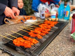 -吴淞炮台湾湿地森林公园烧烤区