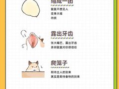 -立德动物医院·24小时中心(番禺区院区)