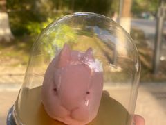 -达美乐比萨(东建路店)