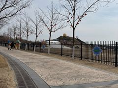 -金沙湖旅游度假区