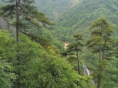 -东天目山风景区
