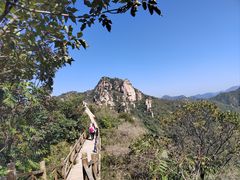 -大岭沟猕猴桃谷风景区