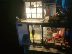 -九木杂物社(恒隆广场店)