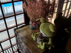 -宽口美蛙鱼头(大唐西市店)