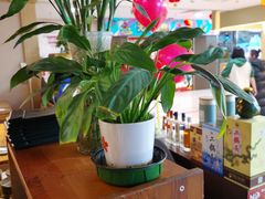 -云海肴云南菜·蒸汽石锅鱼(北京良乡华冠店)