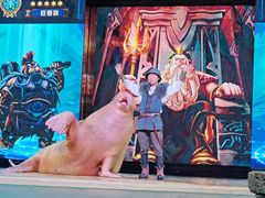 -哈尔滨波塞冬海底世界