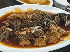 -津菜宋记老房子(鼓楼店)