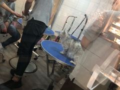 -PETKIT小佩宠物(古北店)