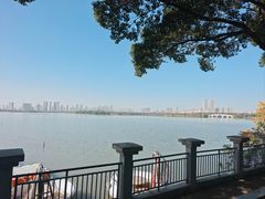 -金银湖国家城市湿地公园