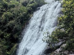 -大奇山国家森林公园
