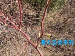 -北京西山国家森林公园