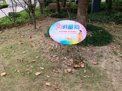 -南翔镇银翔湖公园