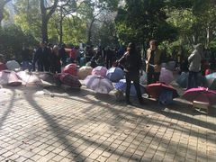 -人民公园-相亲角