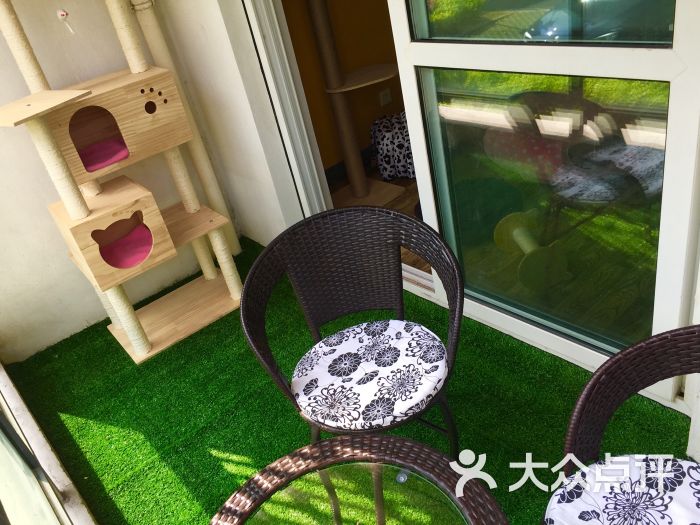 petshotel家庭式宠物寄养阳台图片 - 第2张