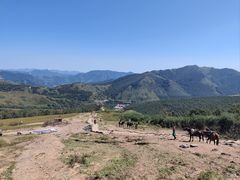 -灵山