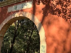 -灵谷景区