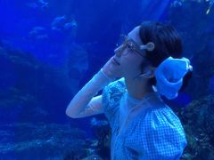 -海合安成都极地海洋公园