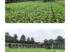 -洪湖家庭农场·团建·露营·会议