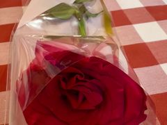 -安立可意大利美食