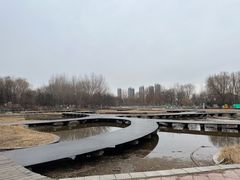 -长白岛森林公园